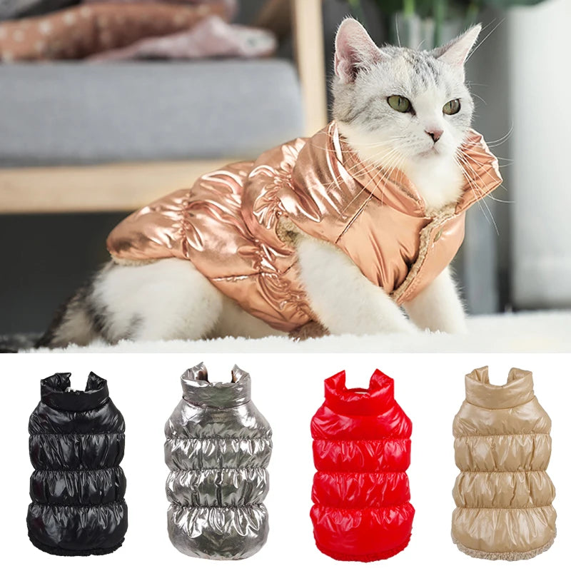 Waterproof Warm Cat Down Jacket