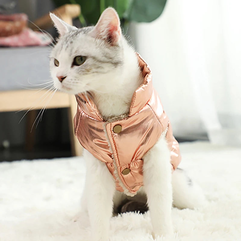 Waterproof Warm Cat Down Jacket