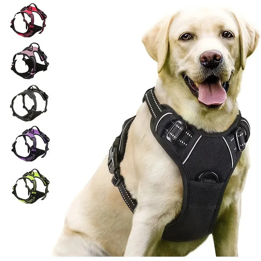 Dog Collars Harness Big Vests Leash