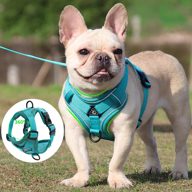 No Pull Dog Harness and Leash Set,Adjustable