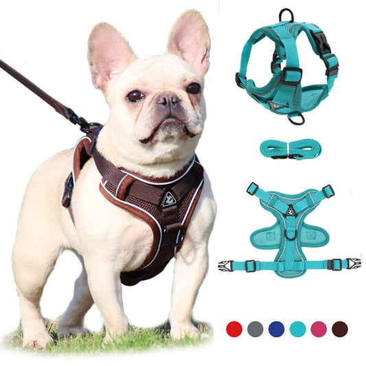 No Pull Dog Harness and Leash Set,Adjustable