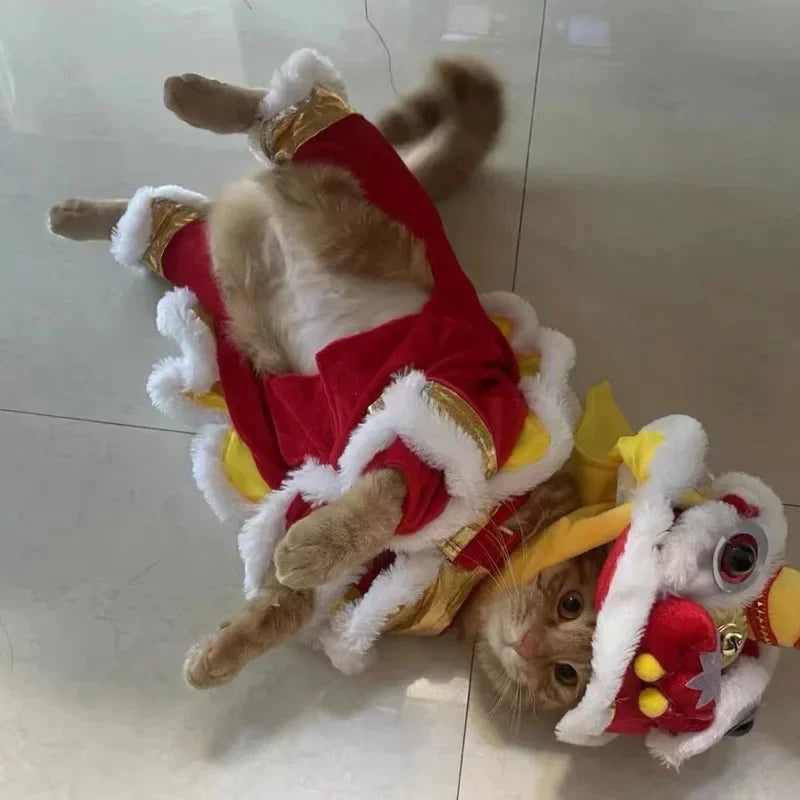 Lion dance Costume