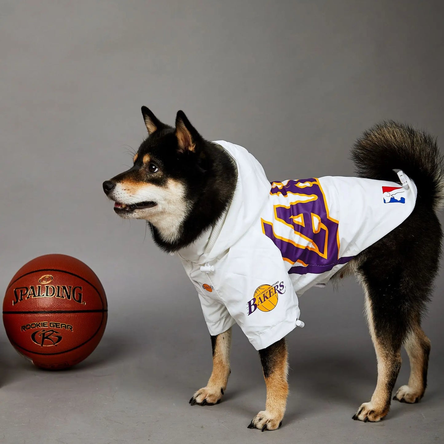 LAKERS JERSEY costume