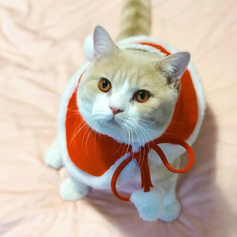 Cat  Santa costume Cosplay Christmas Cat/Dog