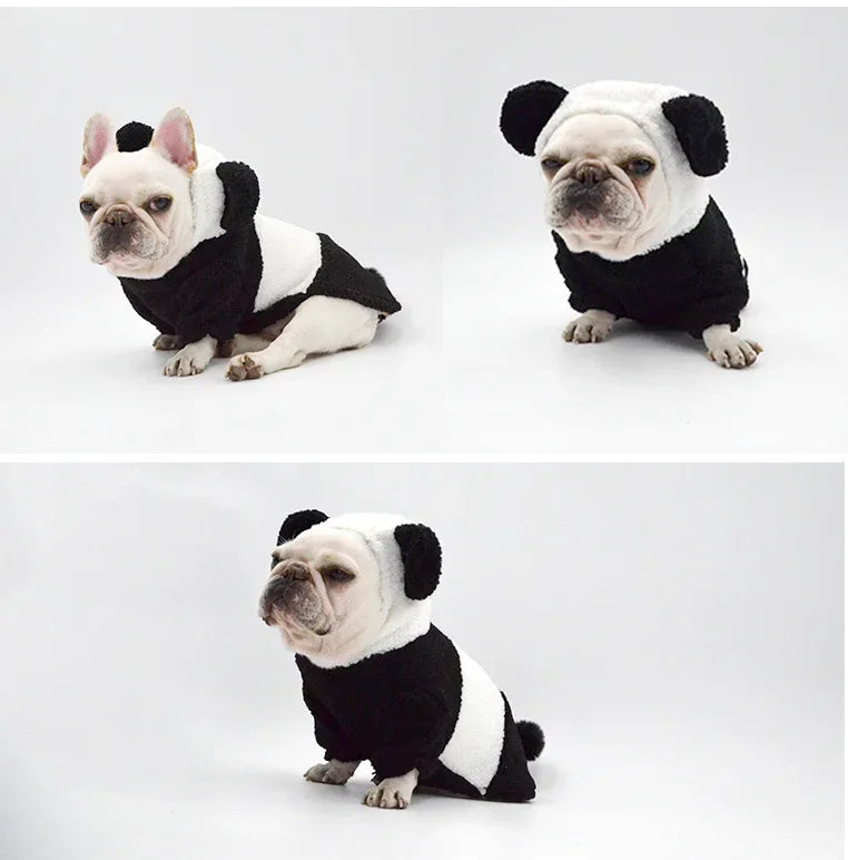 PANDA costume