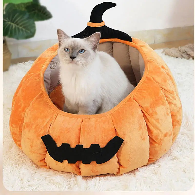 cat & puppy Pumpkin Nest Four Seasons Bed