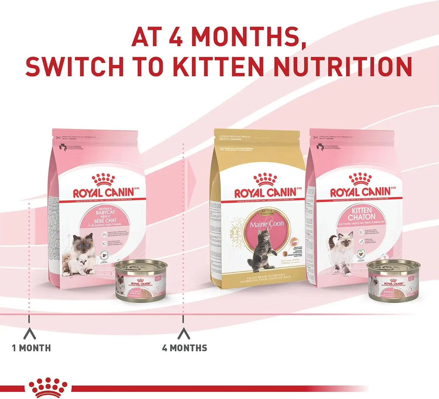 Royal Canin Feline Health Nutrition Mother & Babycat Dry Cat Food for Newborn Kittens and Pregnant or Nursing Cats, 6 lb/2.7Kg bag