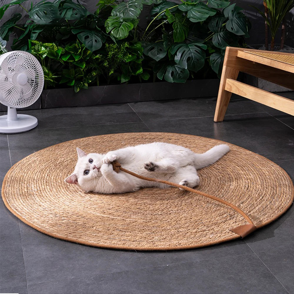 Cat Scratcher Rattan Mat Board Scratch