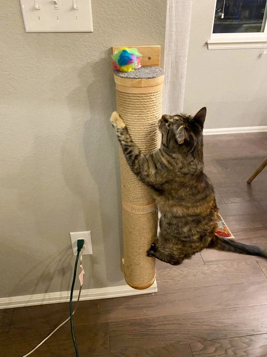 Cat Scratching Post Wall Furniture