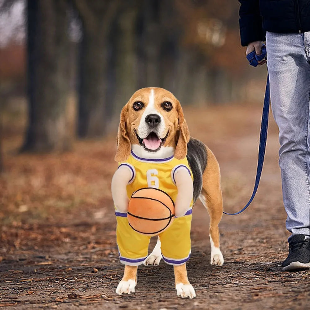 Basketball Costume