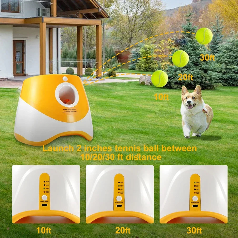 Automatic Pet Ball Launcher