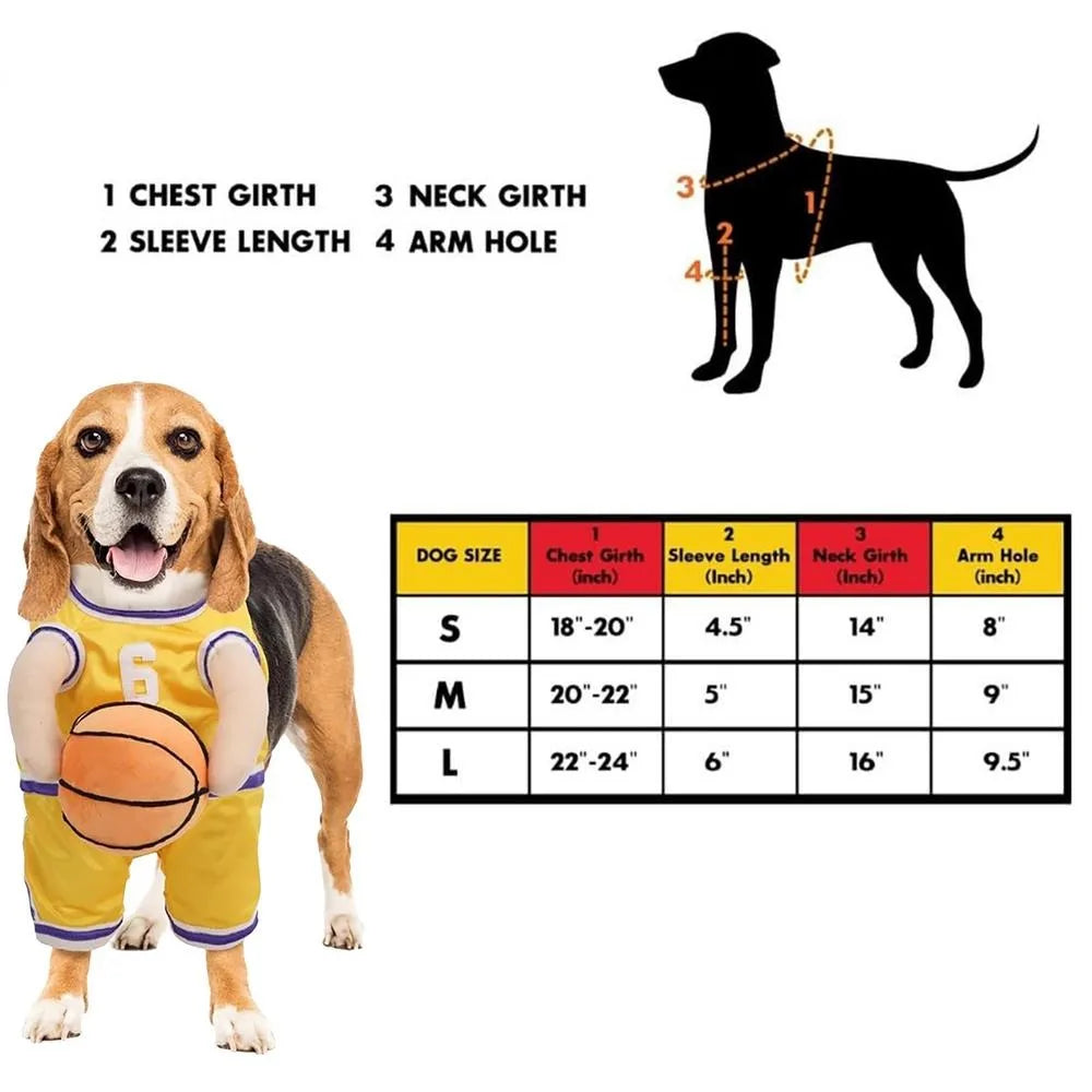 Basketball Costume