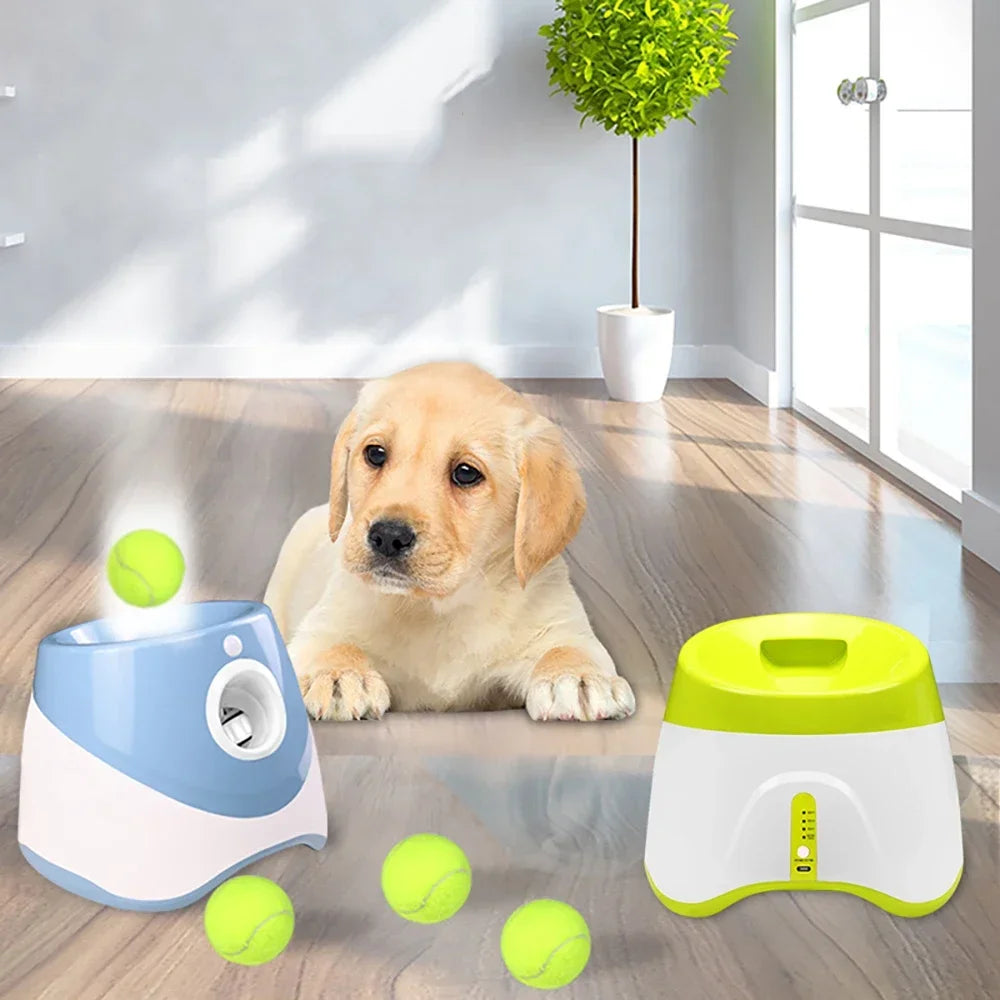 Automatic Pet Ball Launcher