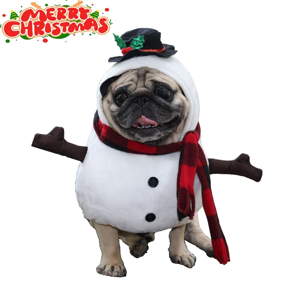 Snowpet Costume