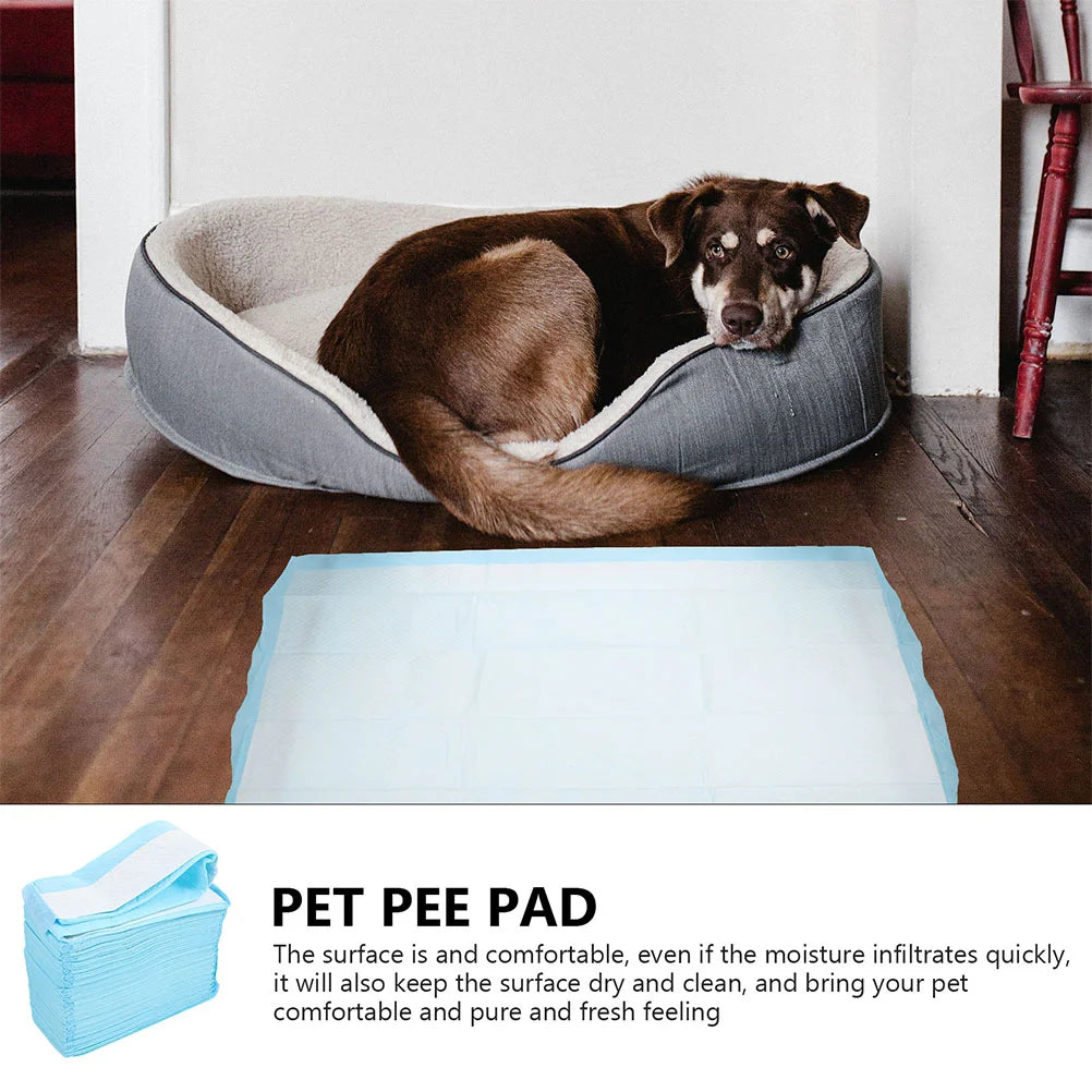 40 Pcs Extra Large Dog Pads