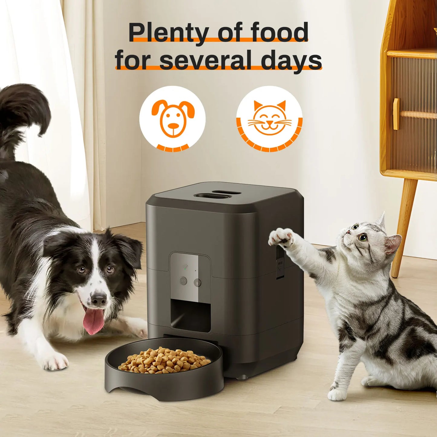 2L  Smart Pet Feeder