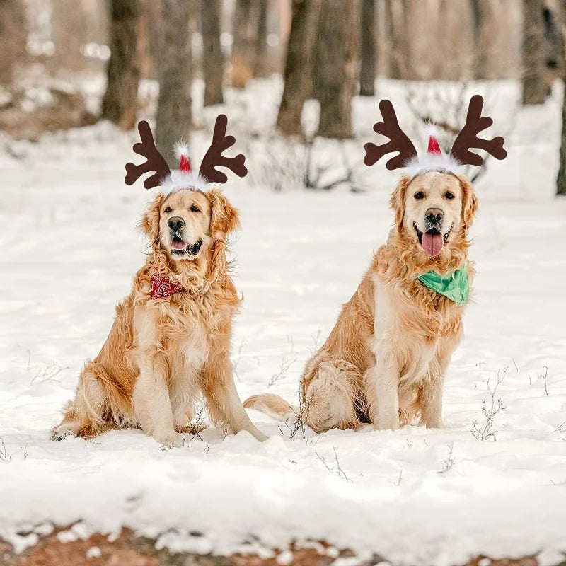 Christmas Pet Dogs Headband Deer Santa Hoop Hat