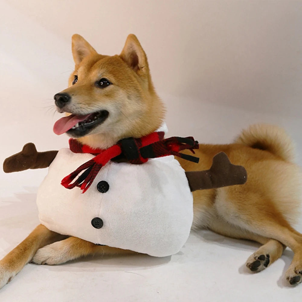 Snowpet Costume