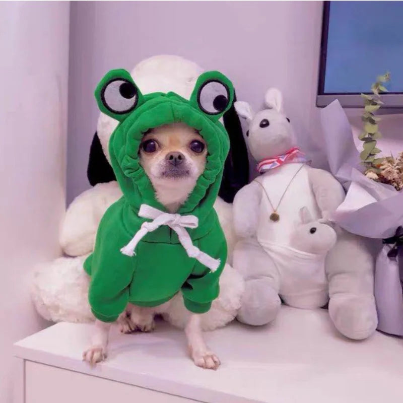 Frog Pet Sweater costume