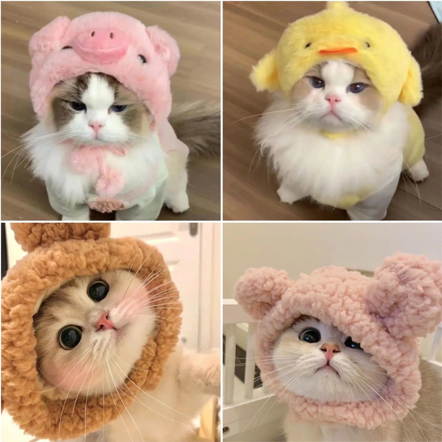 Funny pet costume