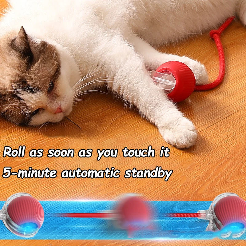 Cat Interactive Ball, 3 Mode Automatic Rolling Ball