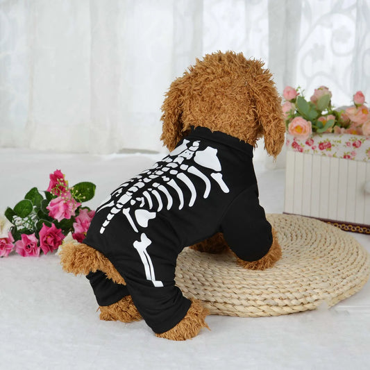 Halloween Skeleton Costume