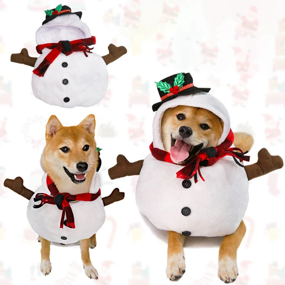 Snowpet Costume