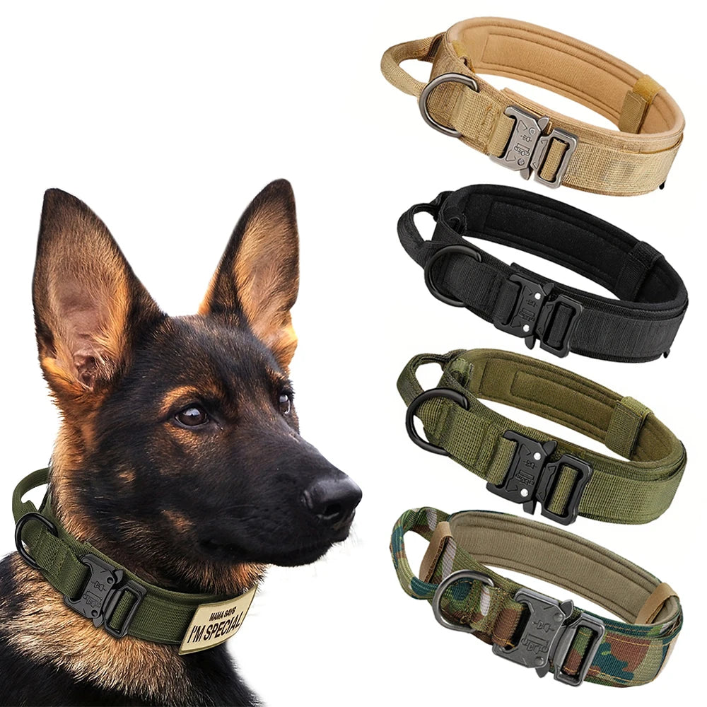 Dog Training Collar,Adjustable Collar And Leash Set