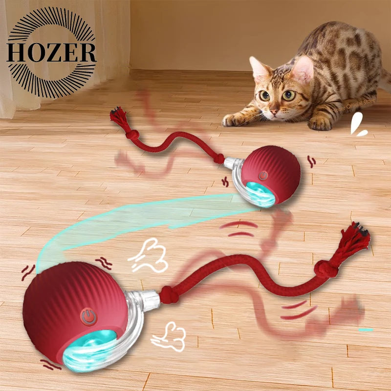 Cat Interactive Ball, 3 Mode Automatic Rolling Ball