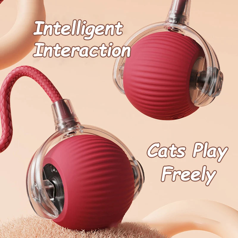 Cat Interactive Ball, 3 Mode Automatic Rolling Ball