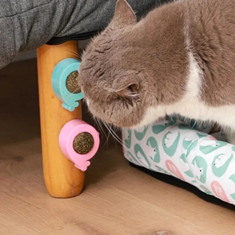 Catnip Licking Ball Spherical Teeth Cleaning