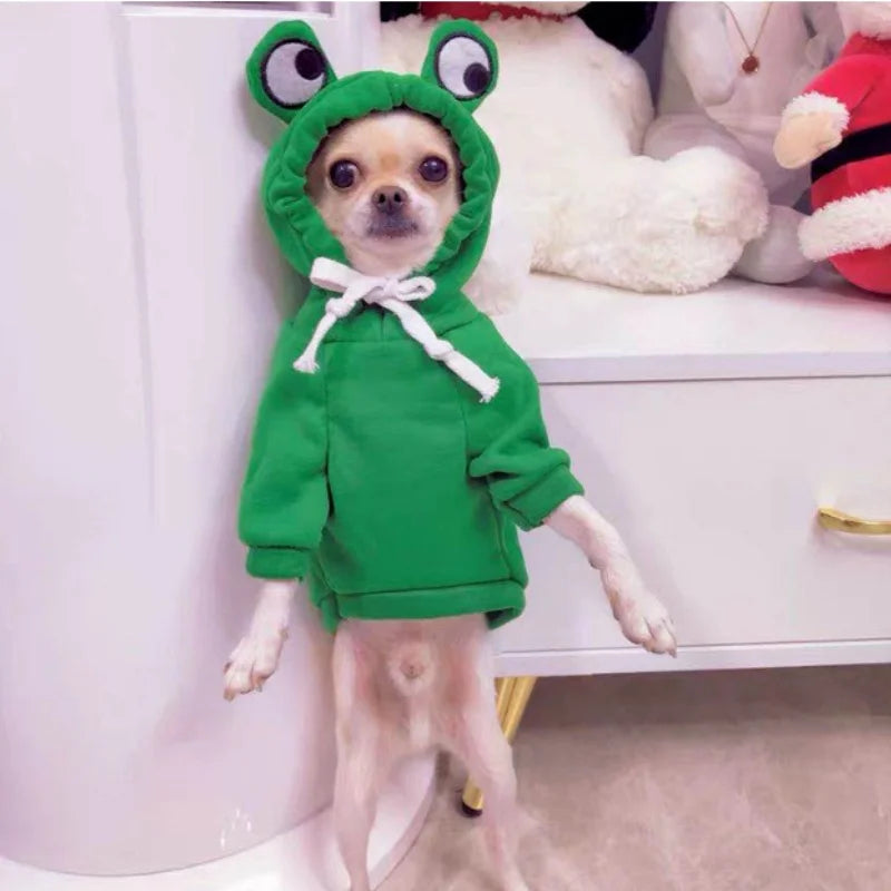 Frog Pet Sweater costume