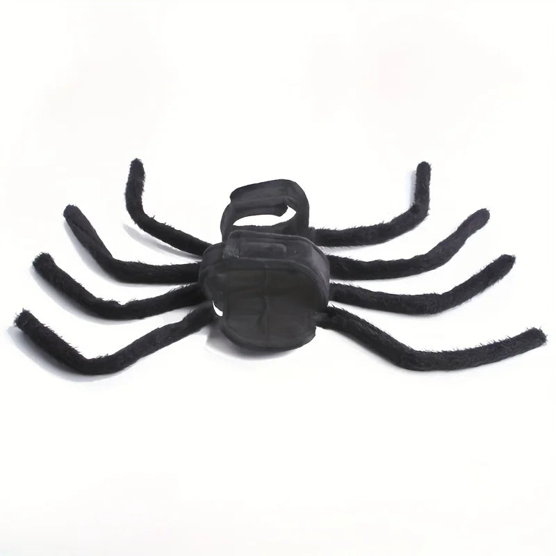 Halloween Spider costume