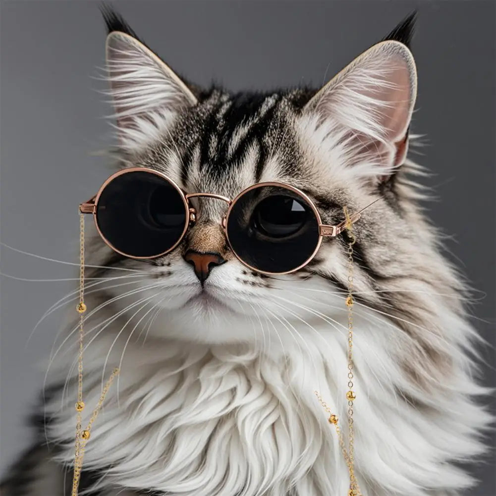 Pet's Sunglasses