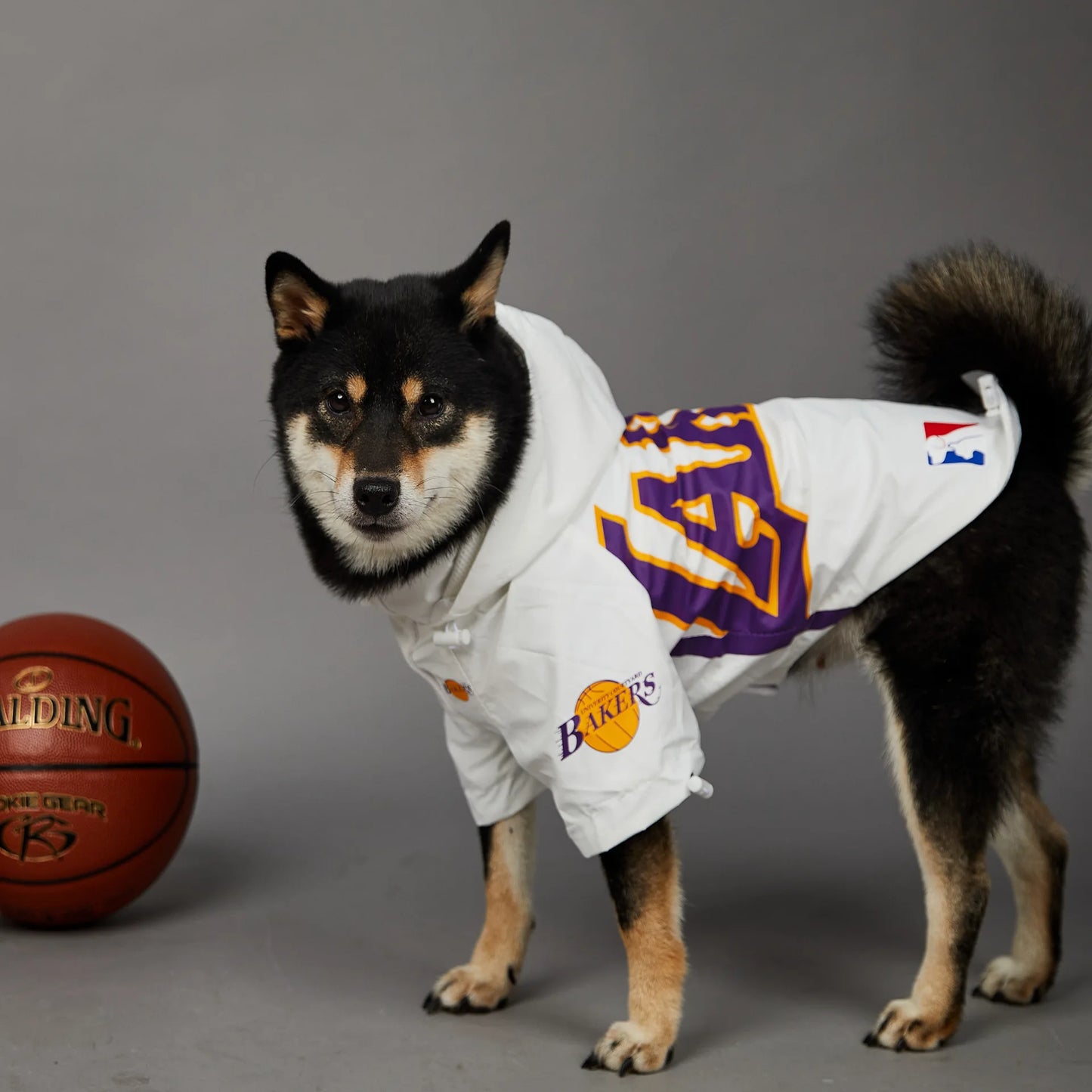 LAKERS JERSEY costume