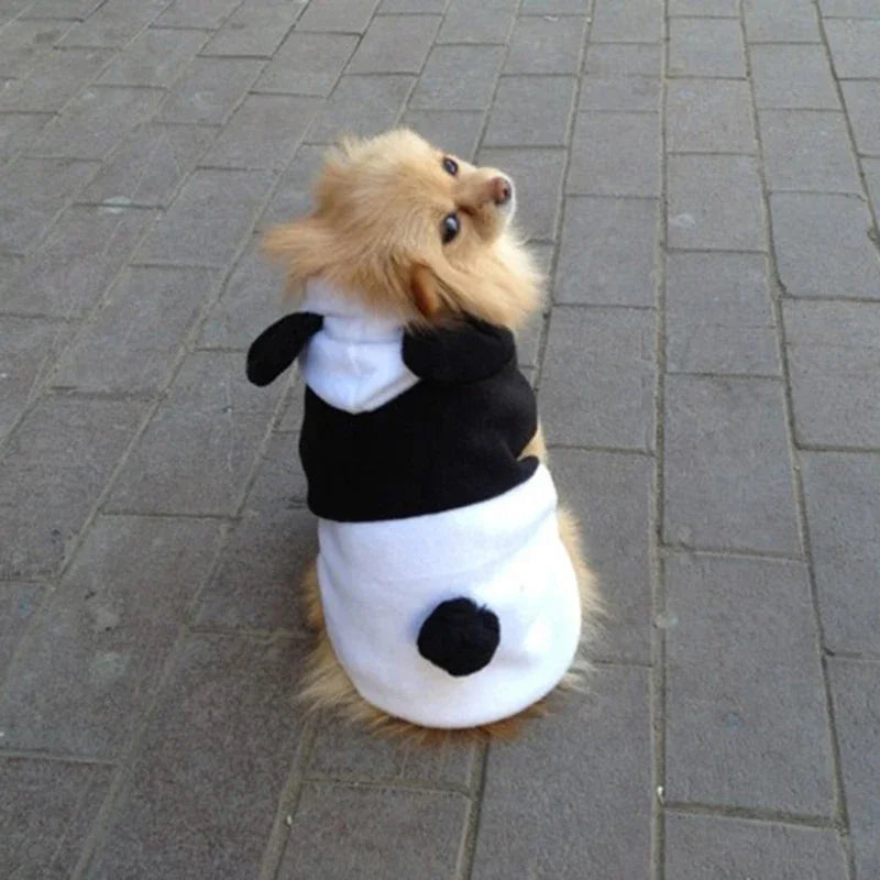 PANDA costume