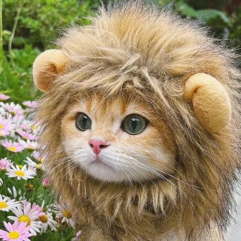 Pet Lion Mane Headgear