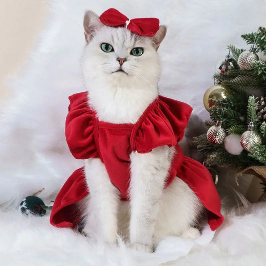 Cat Dress Clothes Christmas