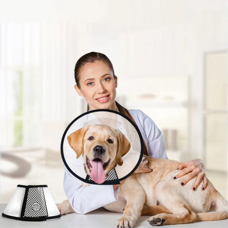 Pet Elizabeth Collar , Anti Bite Grasping Collar