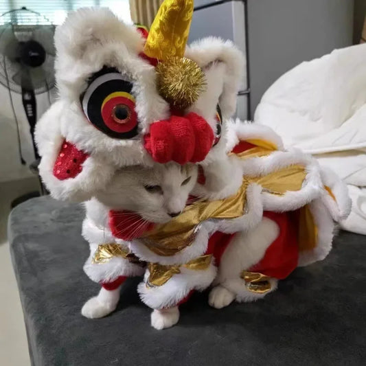 Lion dance Costume