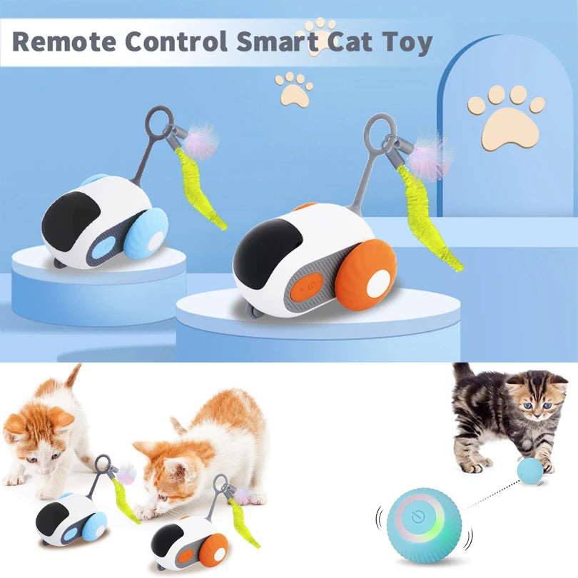 Cat Smart Interactive Car Toy , Automatic Moving Remote Mouse