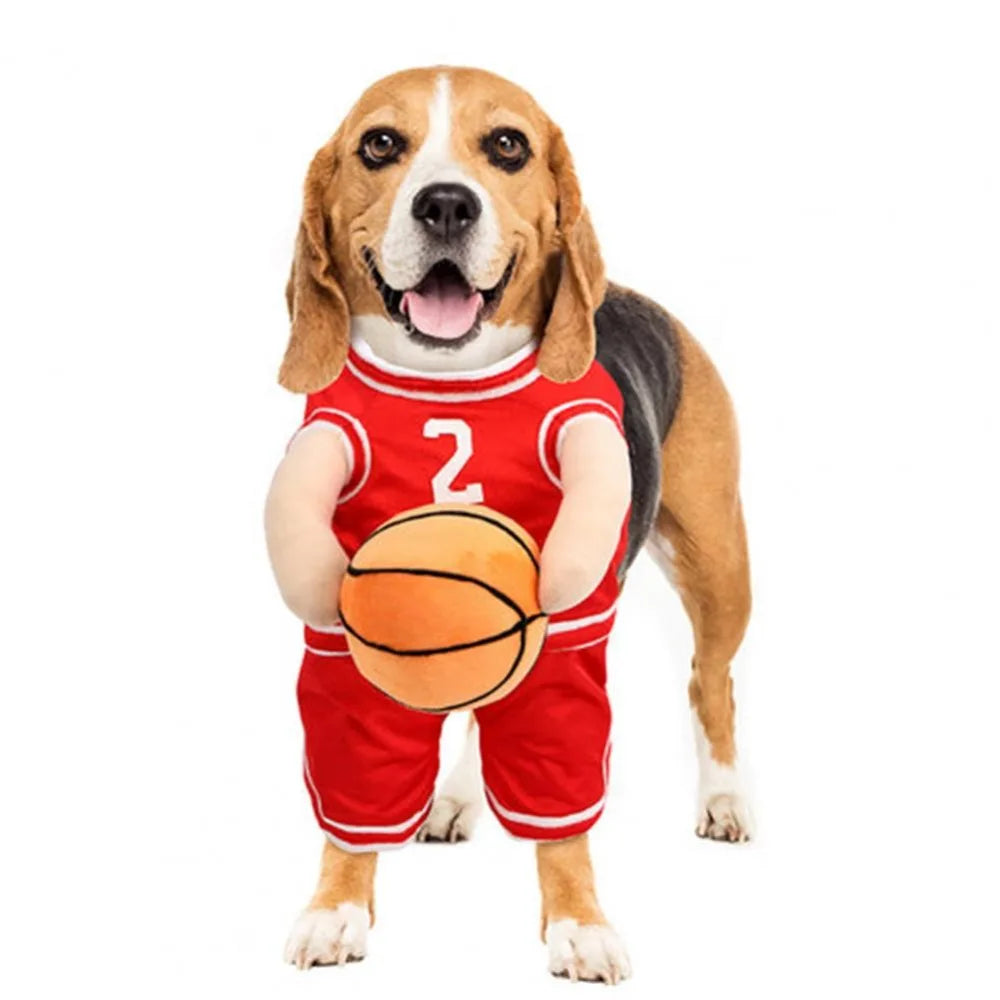 Basketball Costume