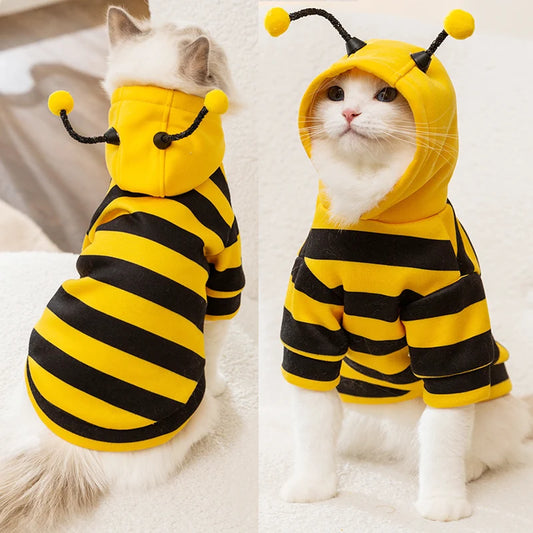 pet Bee Costume