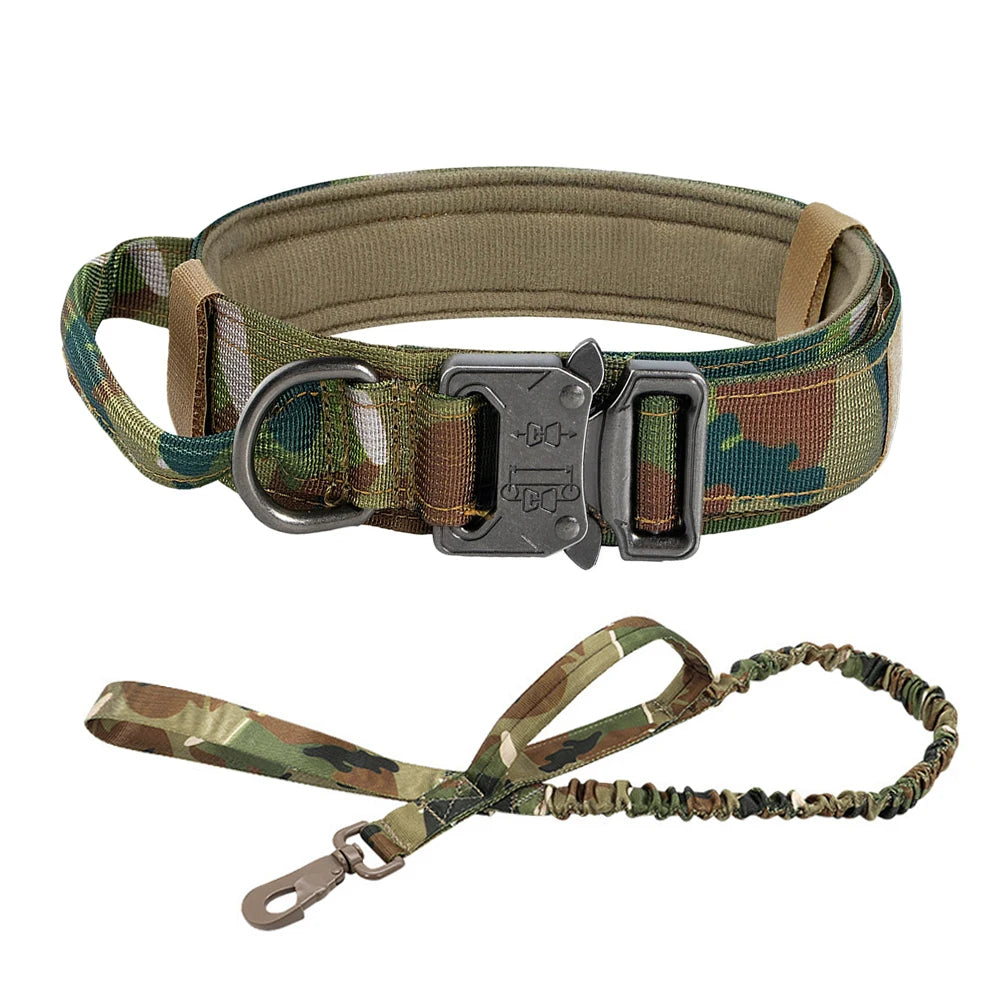 Dog Training Collar,Adjustable Collar And Leash Set