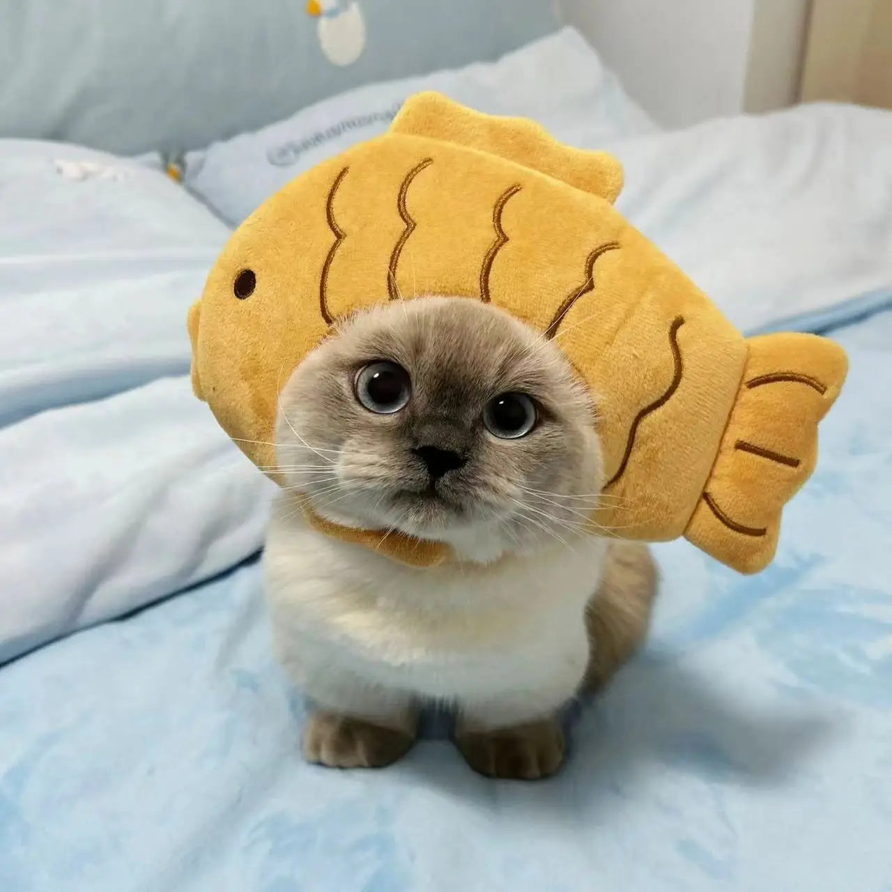 Funny pet costume