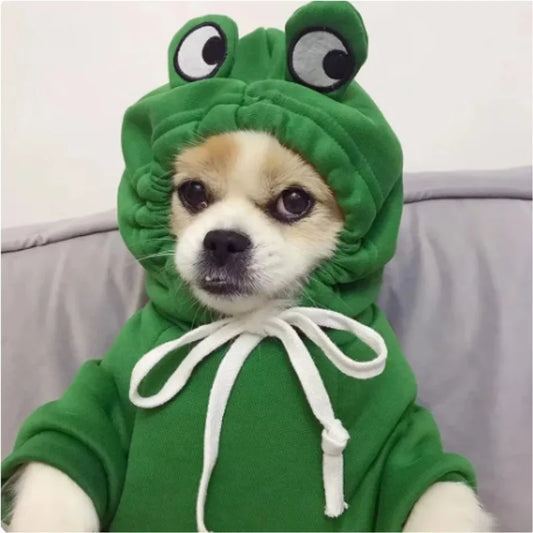 Frog Pet Sweater costume