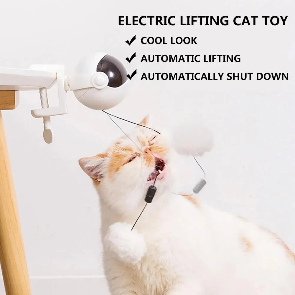 Electronic Motion Cat Toy , YoYo Lifting Ball