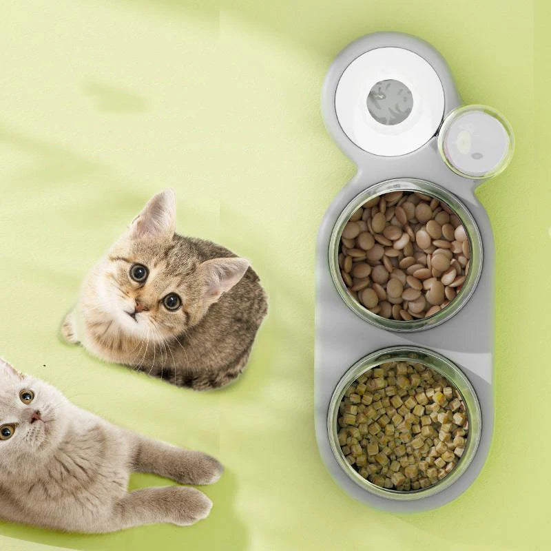 Double Bowls Water Automatic Feeder