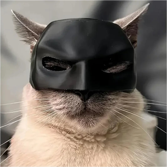 Black Bat Cat & Dog Avenger Mask