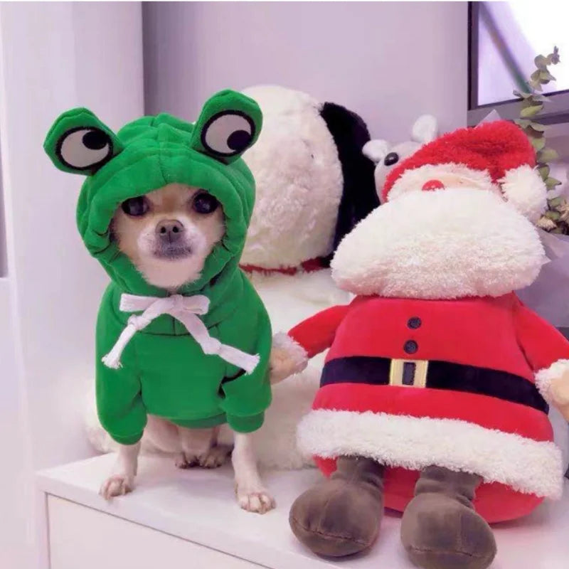 Frog Pet Sweater costume